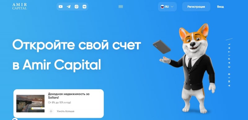 Amir Capital: отзывы реальных инвесторов и подробный обзор условий