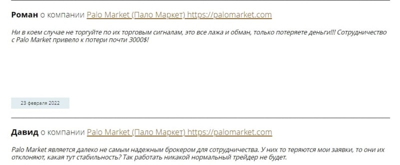 Palo Market: отзывы реальных трейдеров и особенности сотрудничества