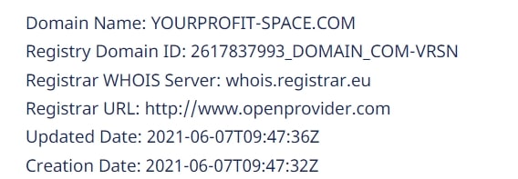 Your Profit Space: отзывы, условия трейдинга и проверка сайта