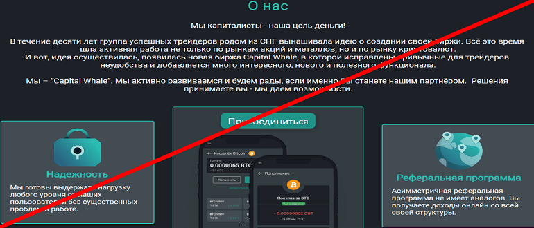 CapitalWhale io отзывы, www capitalwhale io