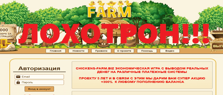 Chickens Farm отзывы, http chickens farm