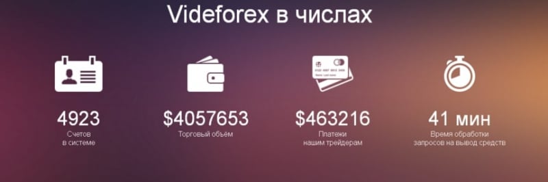 Детальный обзор Binarymate: условия сотрудничества, отзывы