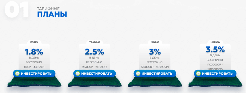 Справедливая оценка Bravia-Group: обзор маркетинга, отзывы