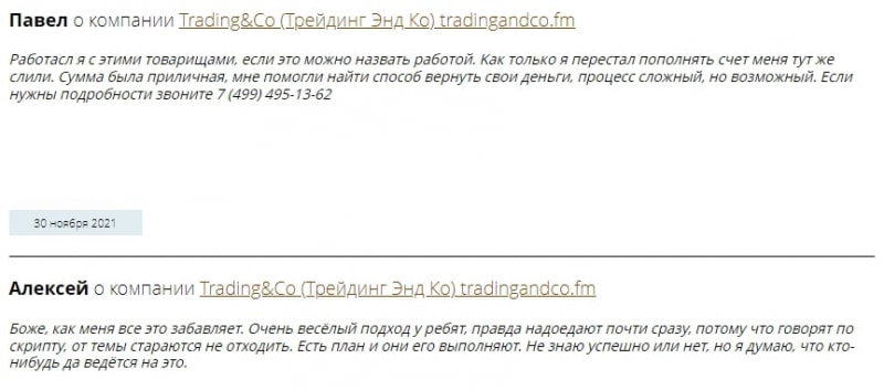 Trading&Co: отзывы о проекте. Особенности, услуги и предложения