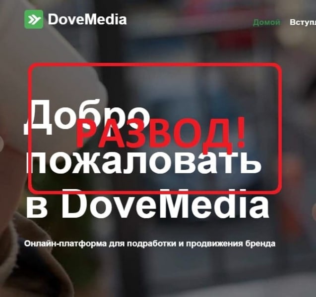 Заработок с Dove Media — отзывы о dove-media.org - Seoseed.ru