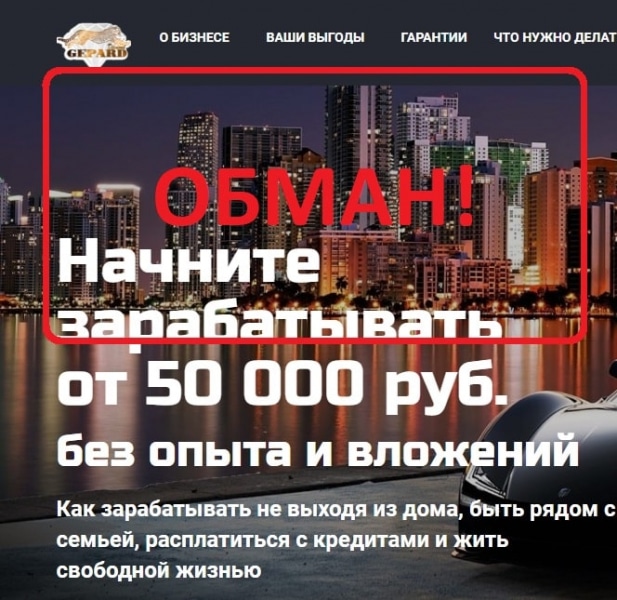 Diamond Gepard обман! Отзывы работников - Seoseed.ru