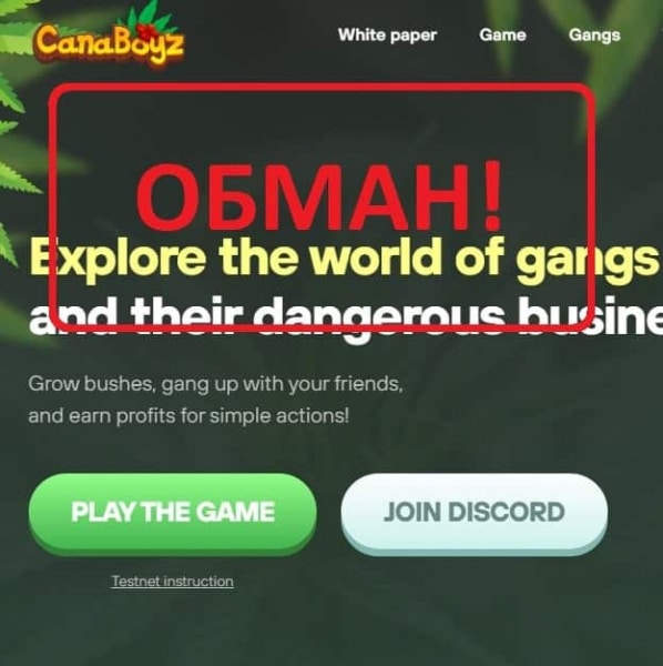 Игра Canaboyz — отзывы о canaboyz.io - Seoseed.ru