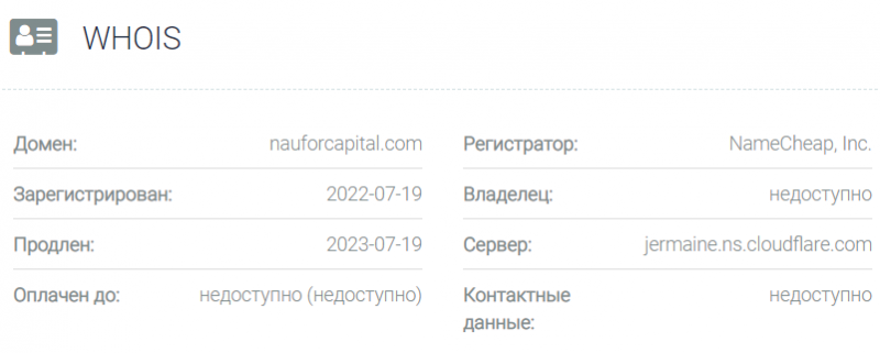 Nau For Capital – молодые жулики-сказочники