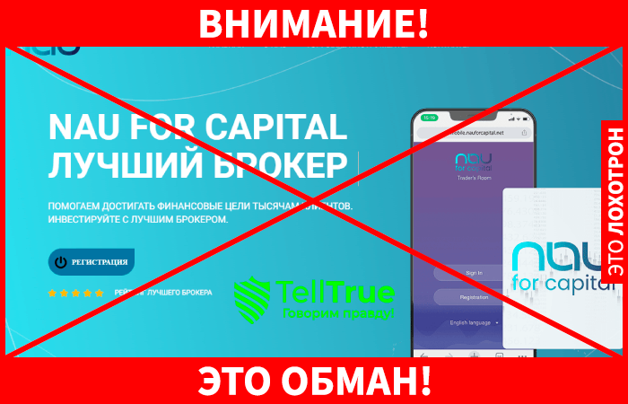 Nau For Capital – молодые жулики-сказочники