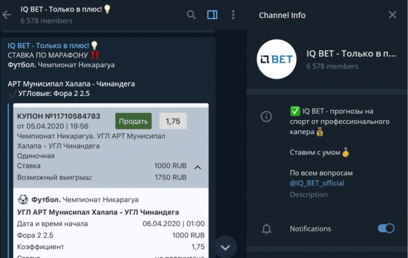 Обзор букмекера MelBet: отзывы о Telegram-канале IQ Bet