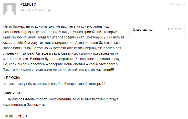 Обзор CFD-брокера Big Liquidity: торговые условия и отзывы трейдеров