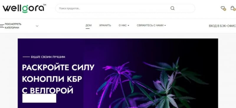 Проект Wellgora (Веллгора, wellgora.com)