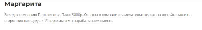 Инвестиционный проект «Перспектива Плюс»: обзор маркетинга, отзывы