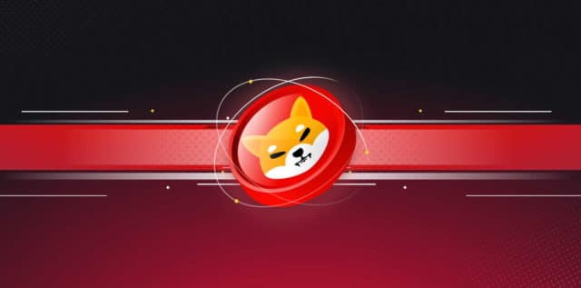 Shiba Inu продолжает сжигать токены