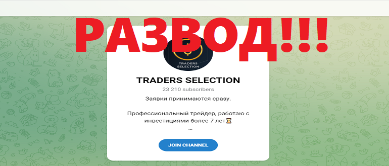 Телеграмм TRADERS SELECTION обзор