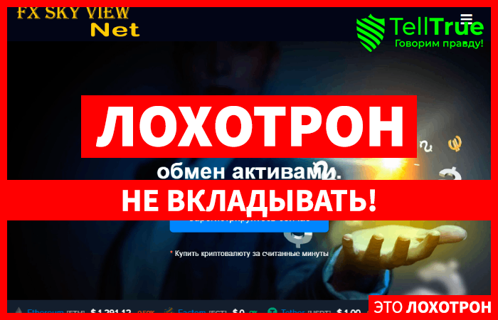 Fxskyviewnet (fxskyviewnet.org) осторожно, лжеброкер! Отзыв Telltrue