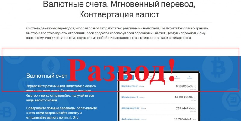 Кошелек Grosh24.online – отзывы о лохотроне - Seoseed.ru