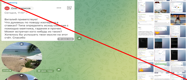 ZiminBetting отзывы телеграмм канала