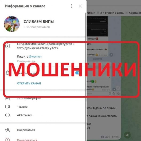 Сливаем Випы — отзывы и обзор телеграмм канала - Seoseed.ru