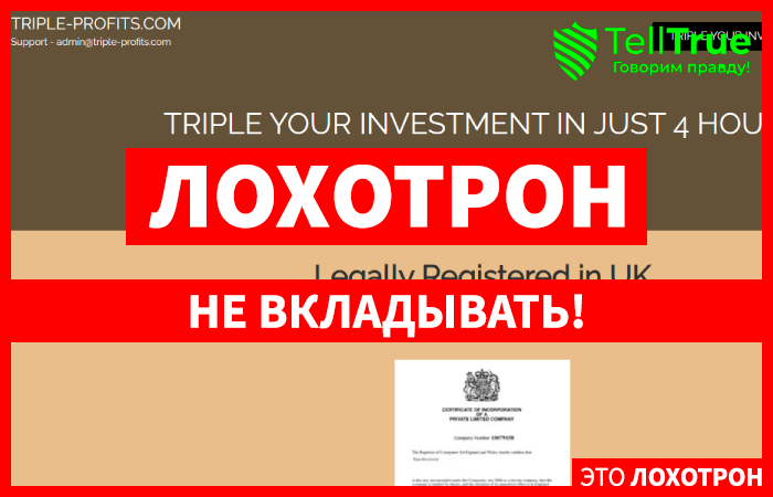 Triple-Profits (triple-profits.com): обзор и отзывы