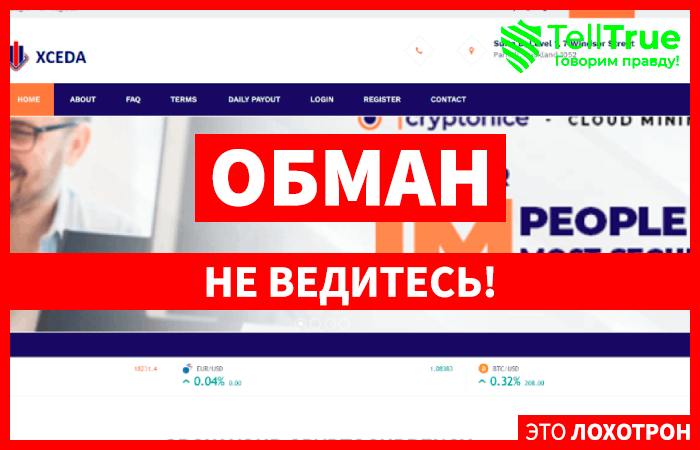 Xceda (xceda.co): обзор и отзывы