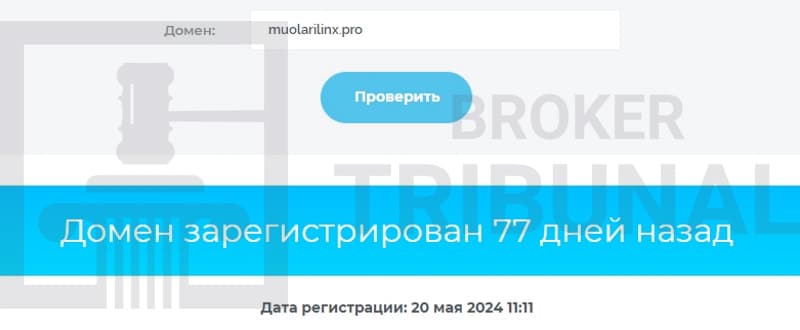 Muolarilinx — фальшивый брокер, который ворует депозиты клиентов