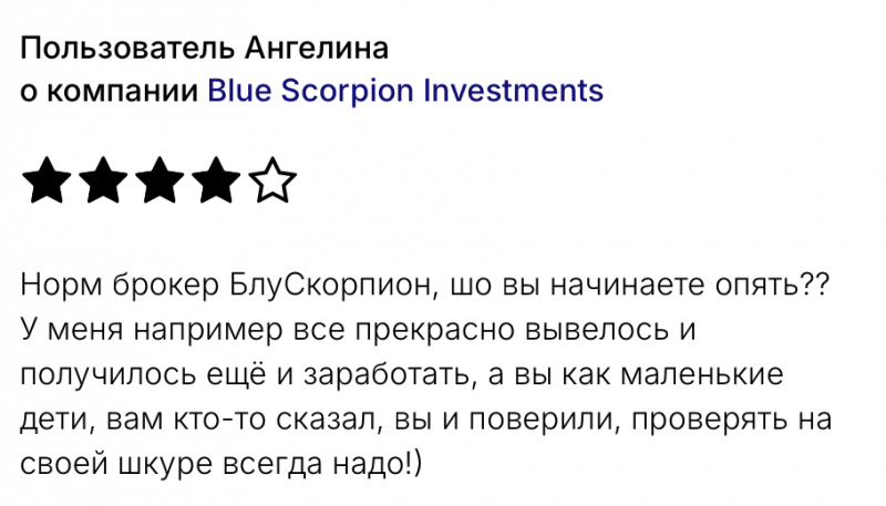 Blue Scorpion Investments